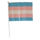 Transgender 20 x 27 cm hand Flag